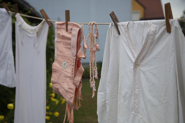 Tag der offenen Tür bei Sammler Willi Taibl in Fuchsenbigl. | Foto: Regina Courtier