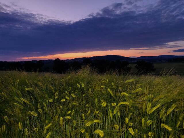 ALLE ELEMENTE VEREINT: FEUER - WASSER - ERDE - LUFT!