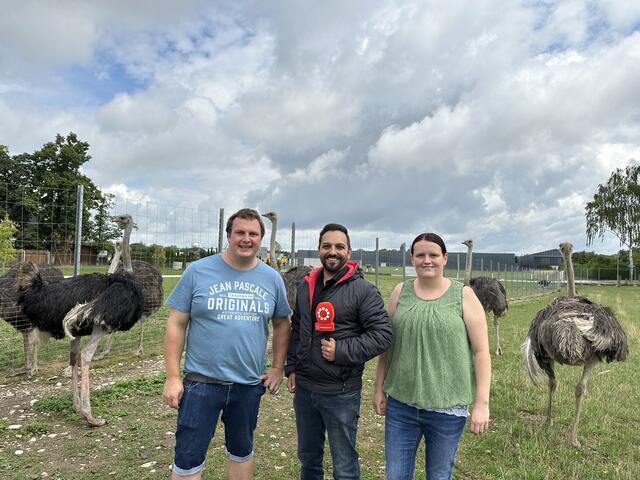 Michael Eschlböck-Bauer und Michaela Schimek vom Gasthaus Reihofer in Wels betreiben ihre eigene Straußenfarm. | Foto: BRS