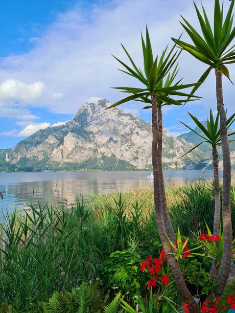 Sommer, Sonne und See...