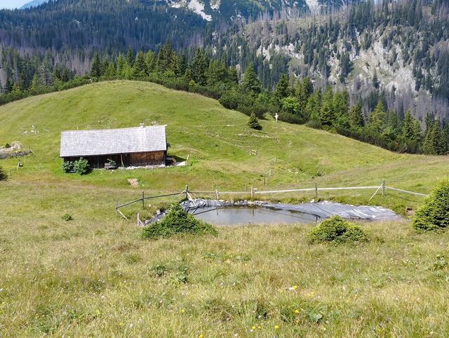 Regenwasserspeicher für die Tiere