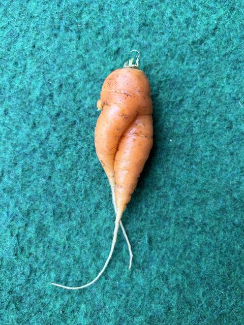 Ja, anscheinend liegt Liebe - nebst den sommerlich, heißen Temperaturen - in der Luft.  | Foto: Barbara Diewald 