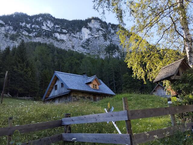 Am Lichtenegg in Hinterwildalpen