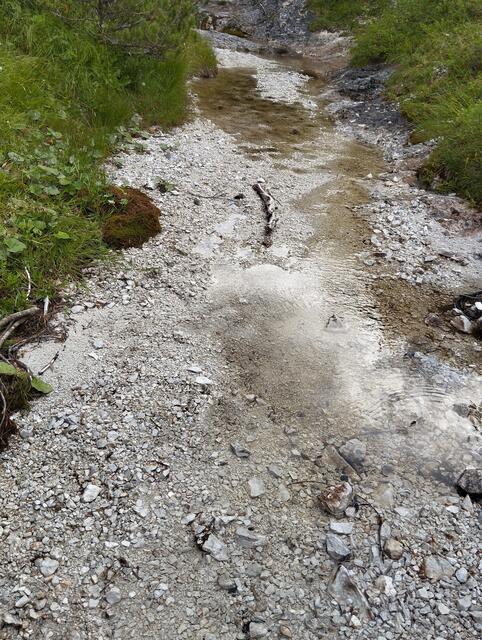 Kostbares Wasser im Weißgraben