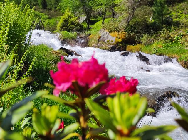 Die "Radio Tirol Sommerfrische" tourt ab dem 7.8. bis 11.8. mit fünf Stationen durch den Bezirk Imst. | Foto: Foto: Regionautin Daniela Scheiber