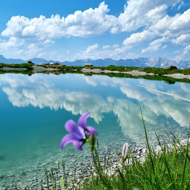 Zirbensee auf dem Glungezer | Foto: Silvia Beinl