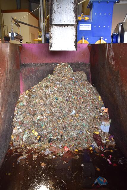 Dinge, die nicht in die Speiserestetonne gehören, müssen aussortiert werden.