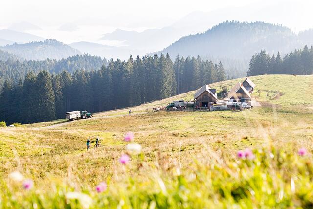 Ebenforstalm im Nationalpark Kalkalpen | Foto: Moritz Ablinger