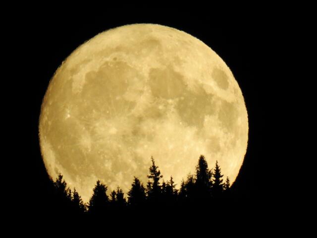 
Am 3. Juli um 13:39 Uhr MESZ erreicht der Mond seine Vollmondphase. Einige Stunden vorher erreicht er auch seinen erdnächsten Punkt. Er erscheint dann 5,8 % größer und leuchtet 12,8 % heller als ein durchschnittlicher Vollmond.

Um 22Uhr 45 war er zu sehen , aber zuerst waren Wolken davor.

