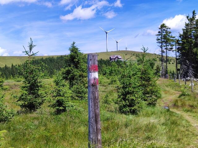 das Roseggerhaus kann man über eine Mautstraße von St.Kathrein aus mit dem Auto erreichen, und dann schöne Wanderungen auf dem Höhenkamm machen... | Foto: I.Wozonig