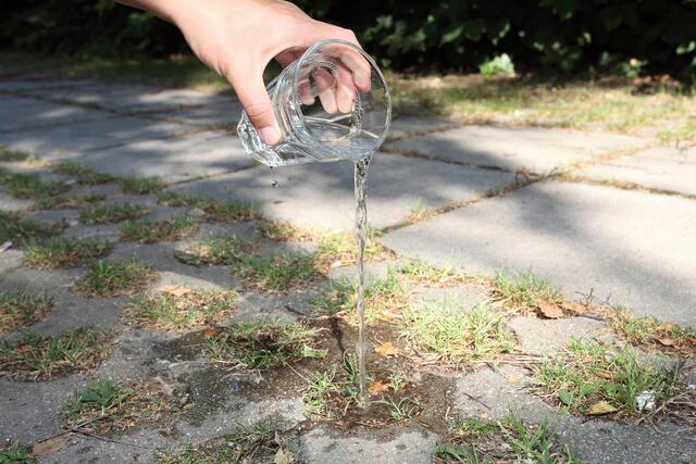 Das Wasser könnte hier noch in gewissem Maße versickern. | Foto: KLAR! Göllersbach