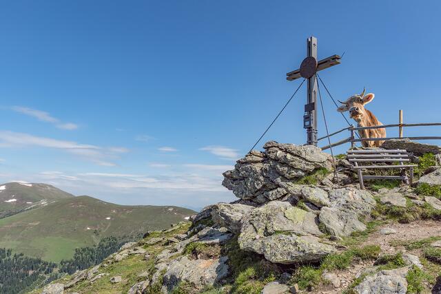 Was für eine Aussicht.)
