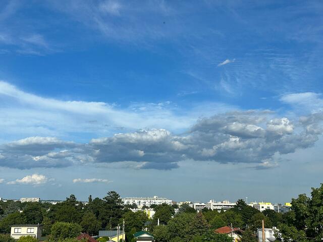 Guten Abend aus Atzgersdorf | Foto: © Gabriele Czeiner