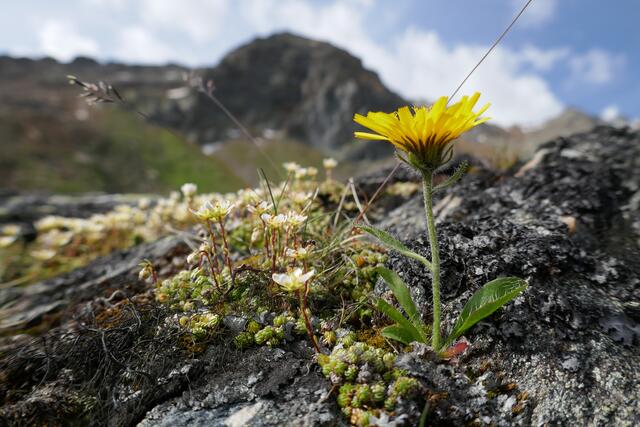 Durchs Krummgampental....... | Foto: Andreas Pauli