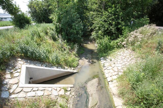 Viele Bäche haben nicht mehr den ursprünglichen Verlauf und wurden in betonierte Läufe "eingesperrt". | Foto: KLAR! Göllersbach