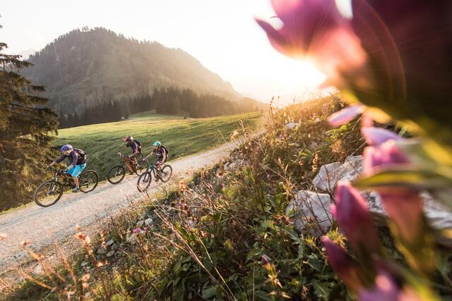 Für die insgesamt 240 km lange Strecke ist eine gute Grundkondition erforderlich.  | Foto: Moritz Ablinger