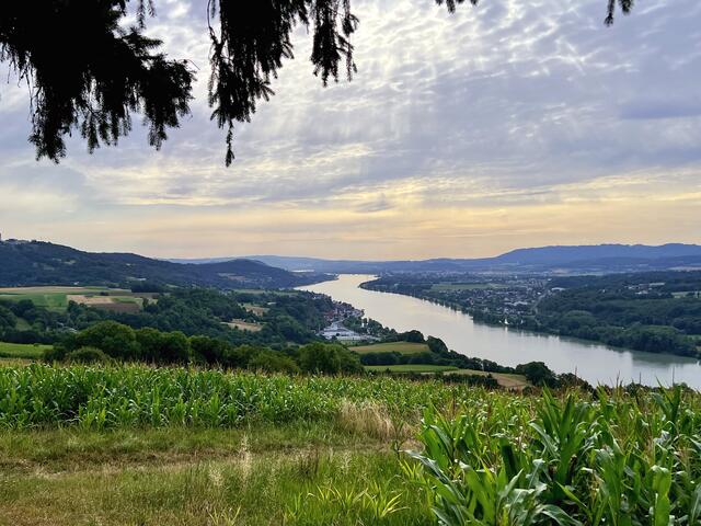 Donautal Nibelungengau Blickichtung Melk

 | Foto: Franz Dörr
