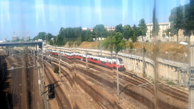 Die Hitze bringt alles durcheinander  | Foto: Eigenes 