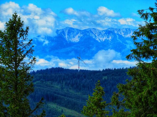 Blick auf die Windräder der Steinberghütte und dahinter die Karawanken  | Foto: Andrea Krenn 