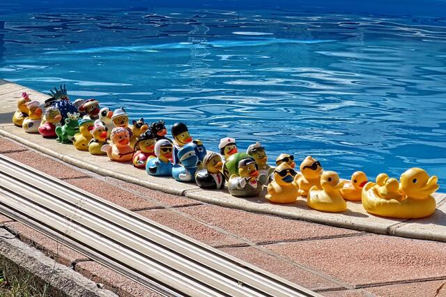 Lasst uns endlich ins Schwimmbecken!
