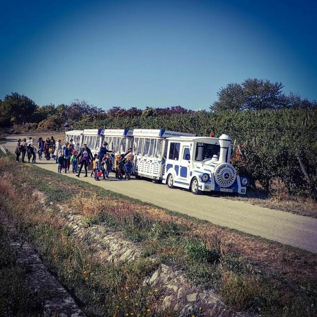 Die Wegstrecken zwischen den Stationen können mit dem Bummelzug zurückgelegt werden. Dieser wird von 9:00 bis 19:00 Uhr unterwegs sein.  | Foto: Naturpark Rosalia-Koglberg