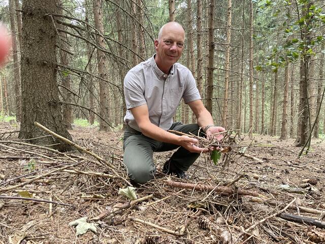 Der Waldboden ist ausgetrocknet | Foto: Martina Schweller