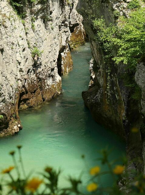 Bei den großen Socatrögen | Foto: Brigitte Schweda