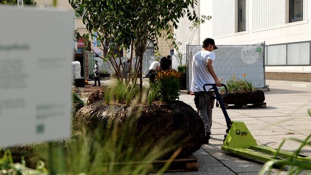 Foto: Maximilian Spitzauer