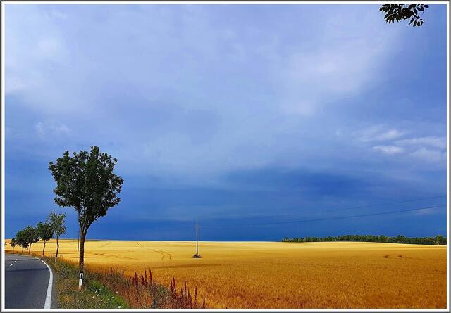 Vor dem Gewitter. Hohenau.