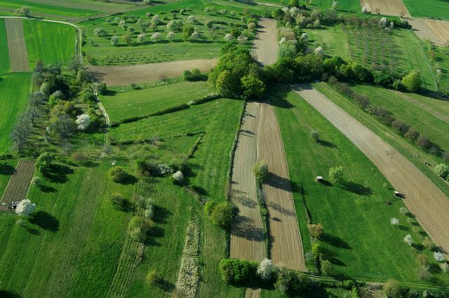 Foto: Naturpark Rosalia-Koglberg