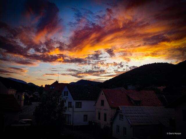 Es ist schon über so viel schlimmes Gras gewachsen dass man bald keiner Wiese mehr trauen kann