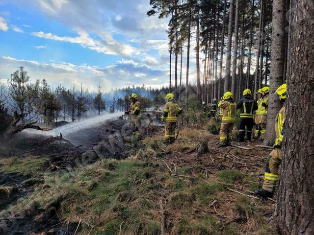 Ausgedehnter Waldbrand im Bereich "silberne Birn"
 | Foto: Feuerwehr Karlstetten
