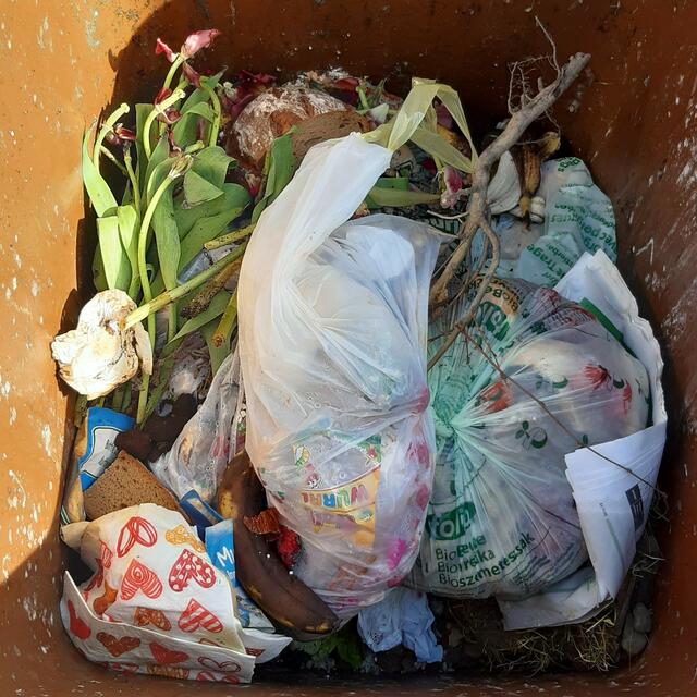 Maisstärke- und Plastiksäcke sowie Strauchschnitt und Blumen haben in der Speiresetetonne nichts verloren. | Foto: AWV