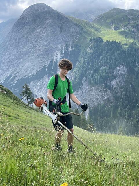 Mäharbeiten auf einer Bergmahdfläche. Florian Marx  | Foto: Lia Kayser