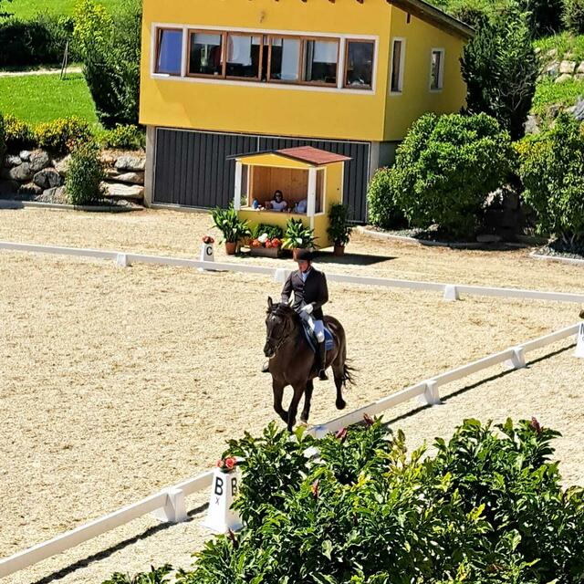 Hofer Josef bei der Einzeldressuraufgabe.