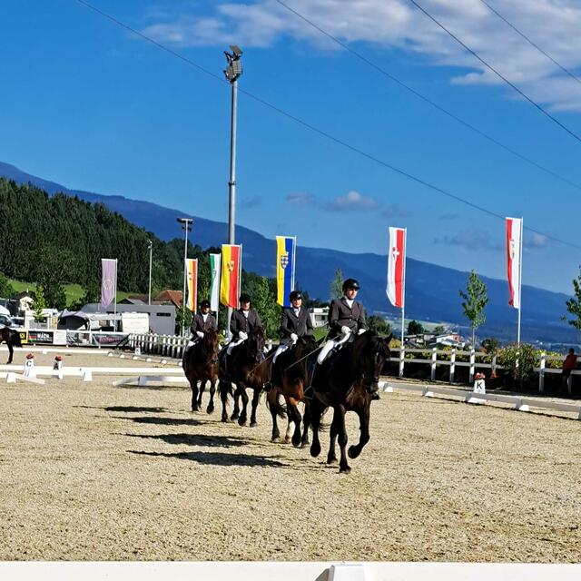 Bernsteiner Anna, Dankl Bettina, Hofer Josef und Leitner Gerhart wären der Schulquadrille.