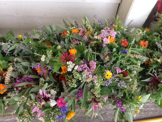 Die Katholische Frauenbewegung St. Magdalena lädt zur traditionellen Kräutersegnung in der Stadtpfarrkirche. | Foto: Privat