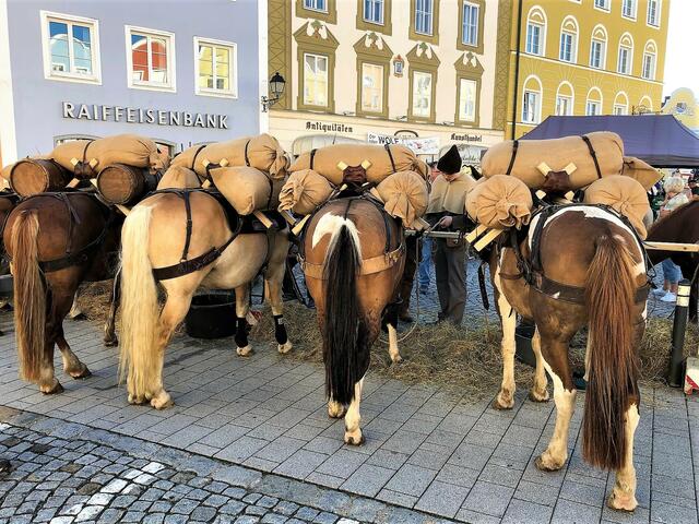 „Alles Pferde“ hieß es am Schärdinger Stadtplatz. Vor der Silberzeile wurde extra ein „Freiluftpferdestall“ für die Vierbeiner aus Bayern eingerichtet. | Foto: Franz Gruber