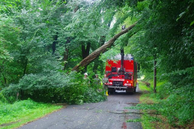 Die Feuerwehr Jennersdorf pumpte nicht nur vollgelaufene Keller aus, sondern räumte auch blockierte Straßen. | Foto: Feuerwehr Jennersdorf