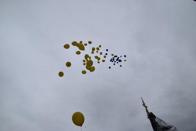 Und da fliegen sie dahin. | Foto: Preineder