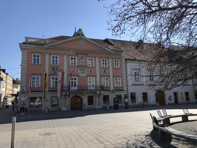 Umweltfreundliche Pläne aus dem Rathaus Wiener Neustadt.  | Foto: Zezula