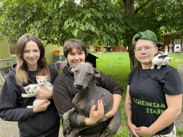 Sie hoffen mit ihren Tierheimtieren auf eine baldige Lösung: Bogdana Derevianska, Jenny Goldmann, Kateryna Zhelezniakova.  | Foto: Koidl
