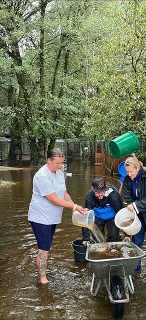 Gemeinsam wurde gepumpt und mit Kübeln das Wasser "irgendwie weggebracht". "Zwischenzeitlich sahen wir weder ein noch aus", erinnert sich Fingerl.  | Foto: Tierheim Garten Eden
