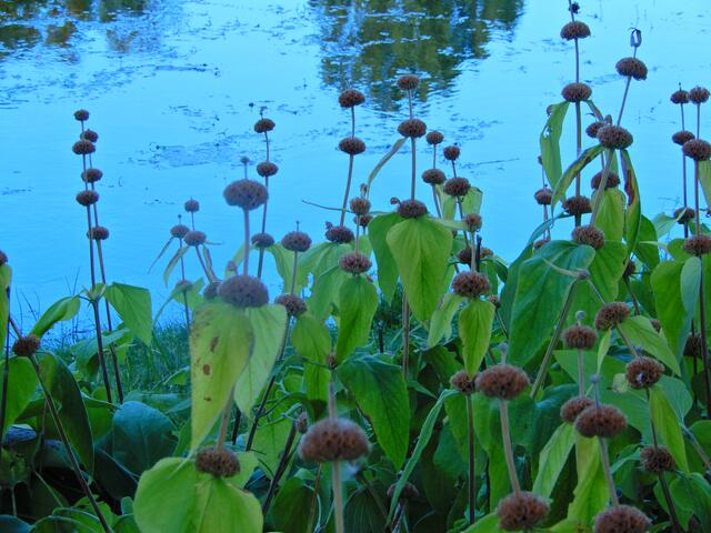 Wer kennt unseren Namen?