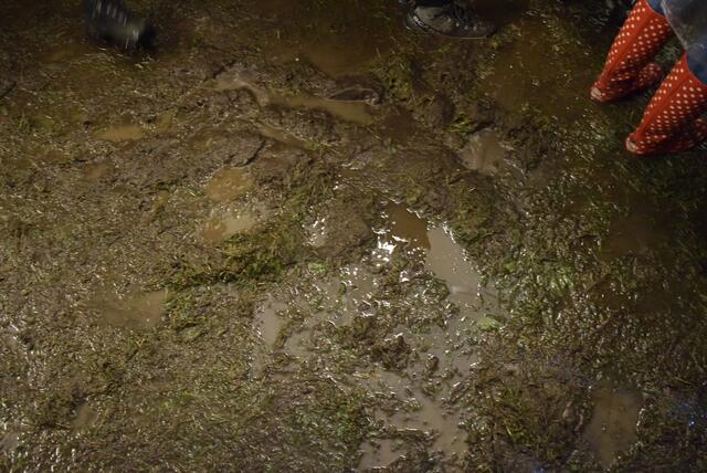 Foto: Marc Hollinger