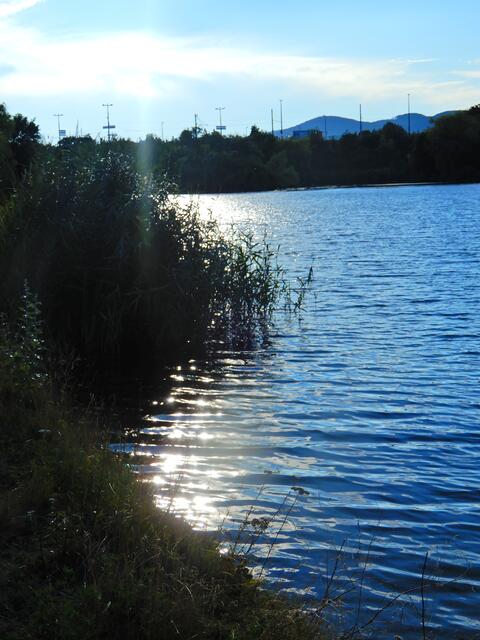 Abendstimmung im Floridsdorfer Wasserpark