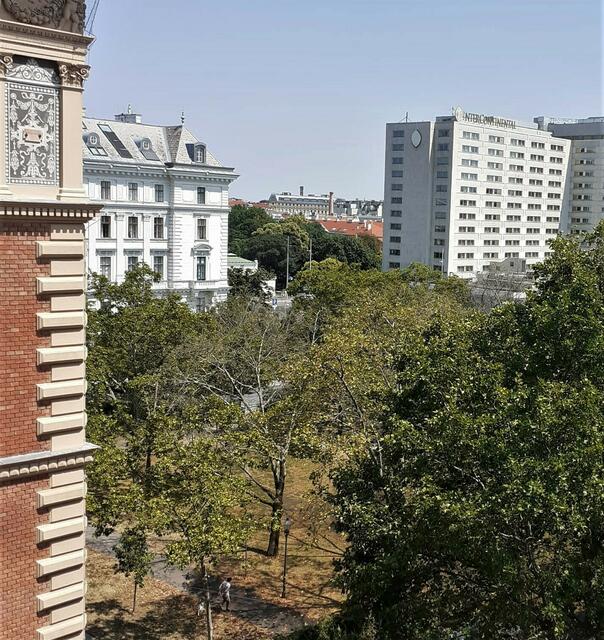 So vertrocknet sahen die Bäume am Beethovenplatz im Juli vergangenen Jahres aus. | Foto: Initiative Stadtbaum
