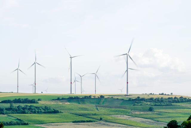 Die Annahme, dass die EU hohe Umweltstandards auf nationaler Ebene nicht zulassen würde ist falsch. | Foto: Karsten Würth