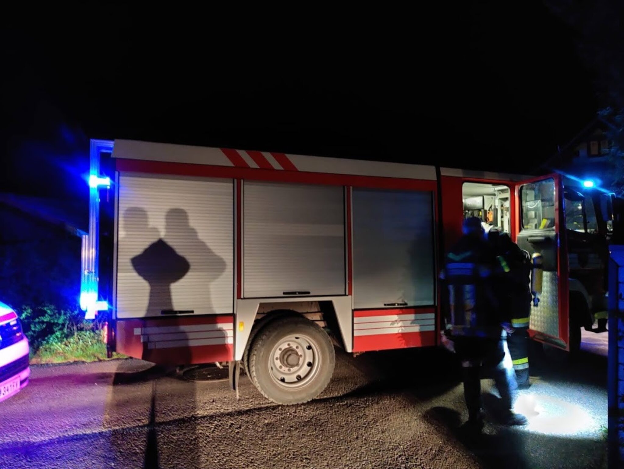 Fire department Altenberg: Accidental sheep near St. Andrä Wördern tracks ...