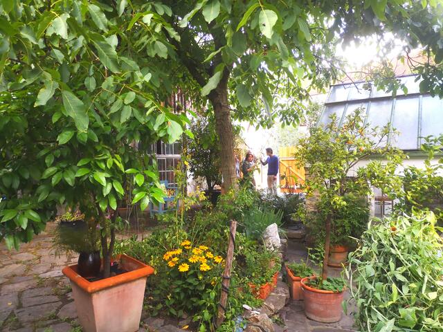 Der romantische Hof.